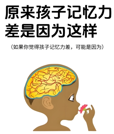 ���Ӽ���������